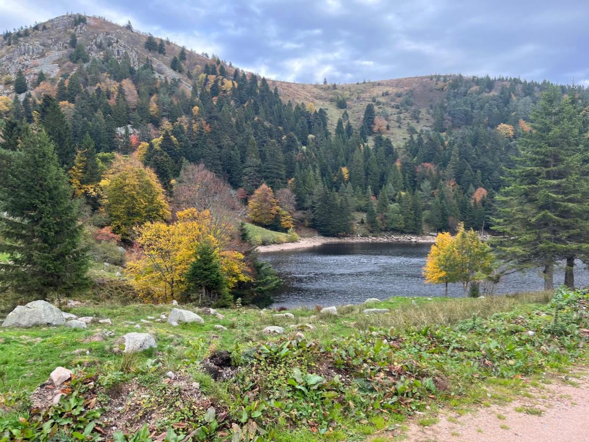 Gite De Montagne -Bellefosse Alsace 외부 사진