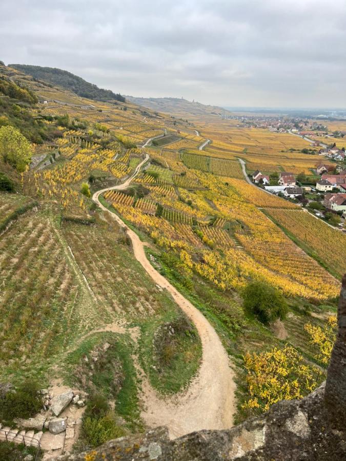Gite De Montagne -Bellefosse Alsace 외부 사진