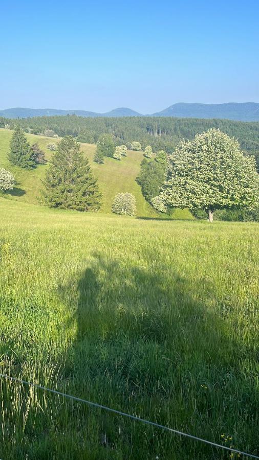 Gite De Montagne -Bellefosse Alsace 외부 사진